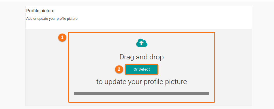 The Profile Picture tab with the Drag and drop area and the Or Select button