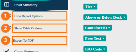 The Pivot Summary menu with the Hide Report Options, Show Table Options and Export To PDF buttons