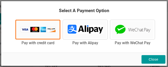 The Select A Payment Option dialog with Pay with credit card highlighted